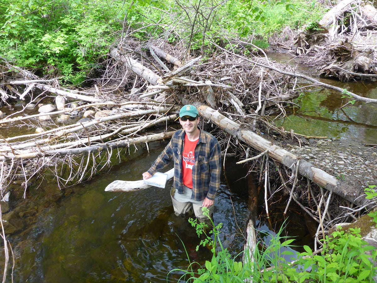 Wood is good for brook trout. Recognizing good brook trout habitat is