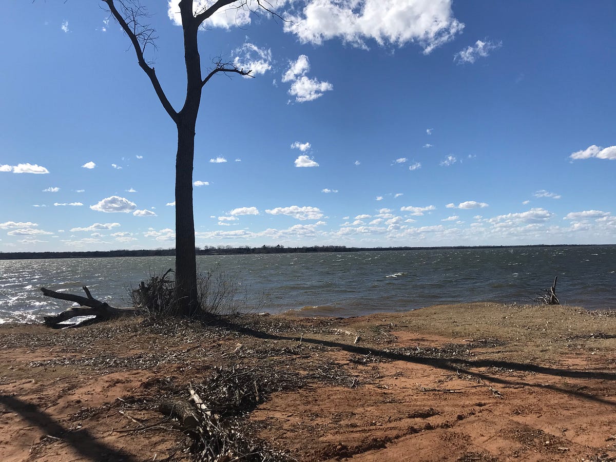 One Night Real Estate turns into Squatting by Nancy Adams Medium