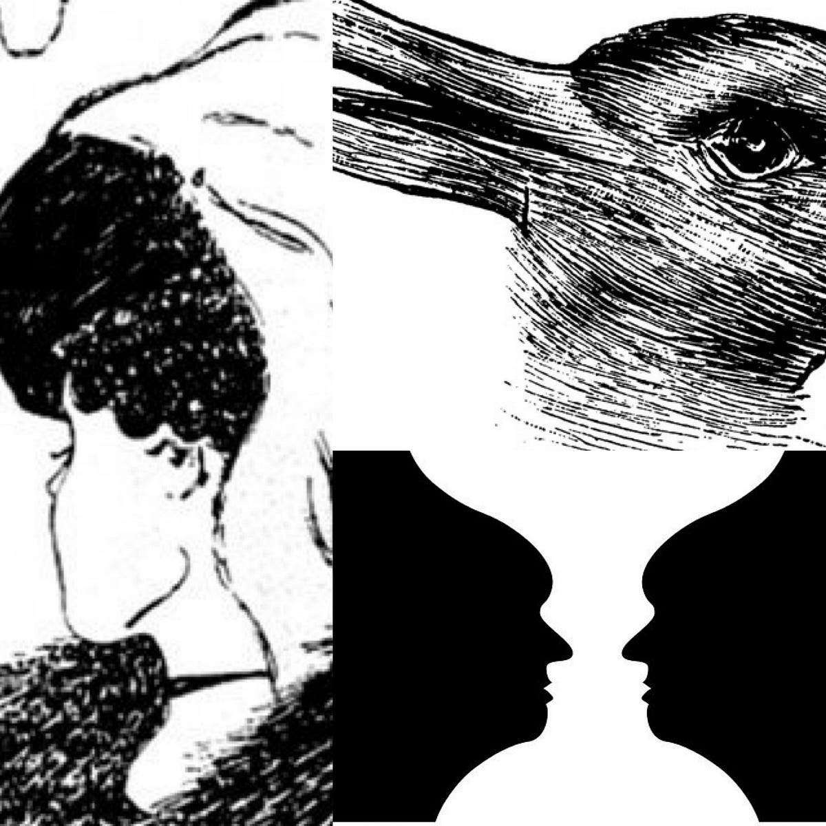 Optical Illusions. Did Moses hit the rock in anger, or did… by Rabbi