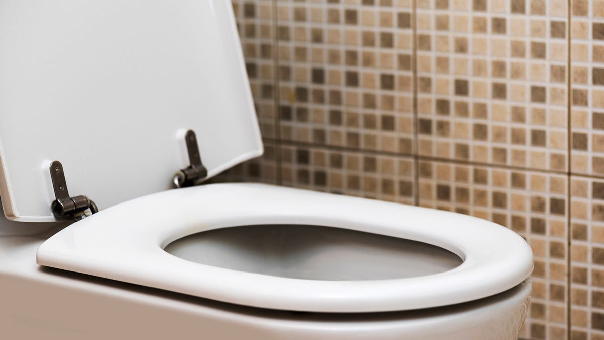 Can You Get Herpes From A Toilet Seat? by Jennifer Wilson Medium