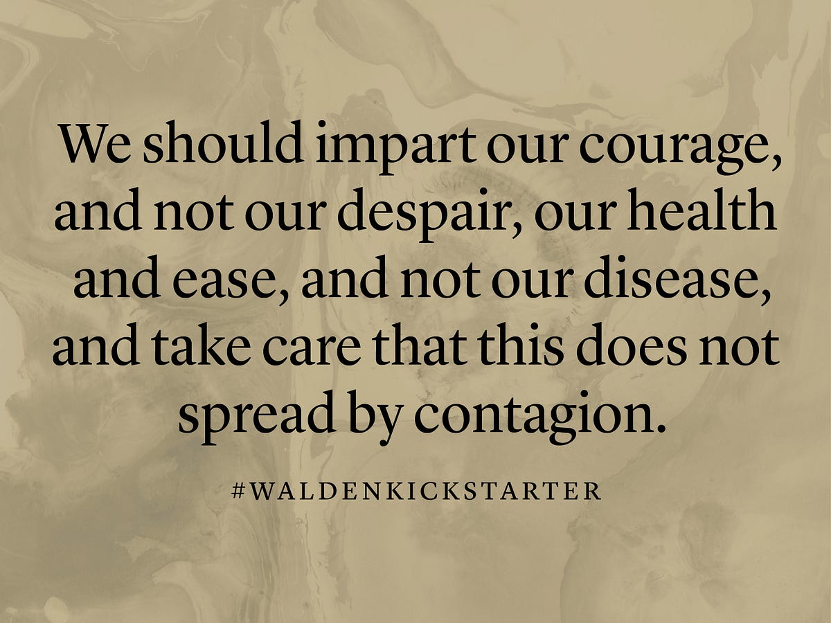 Walden Part 1 Economy, Chapter 6 by Matt Steel Medium