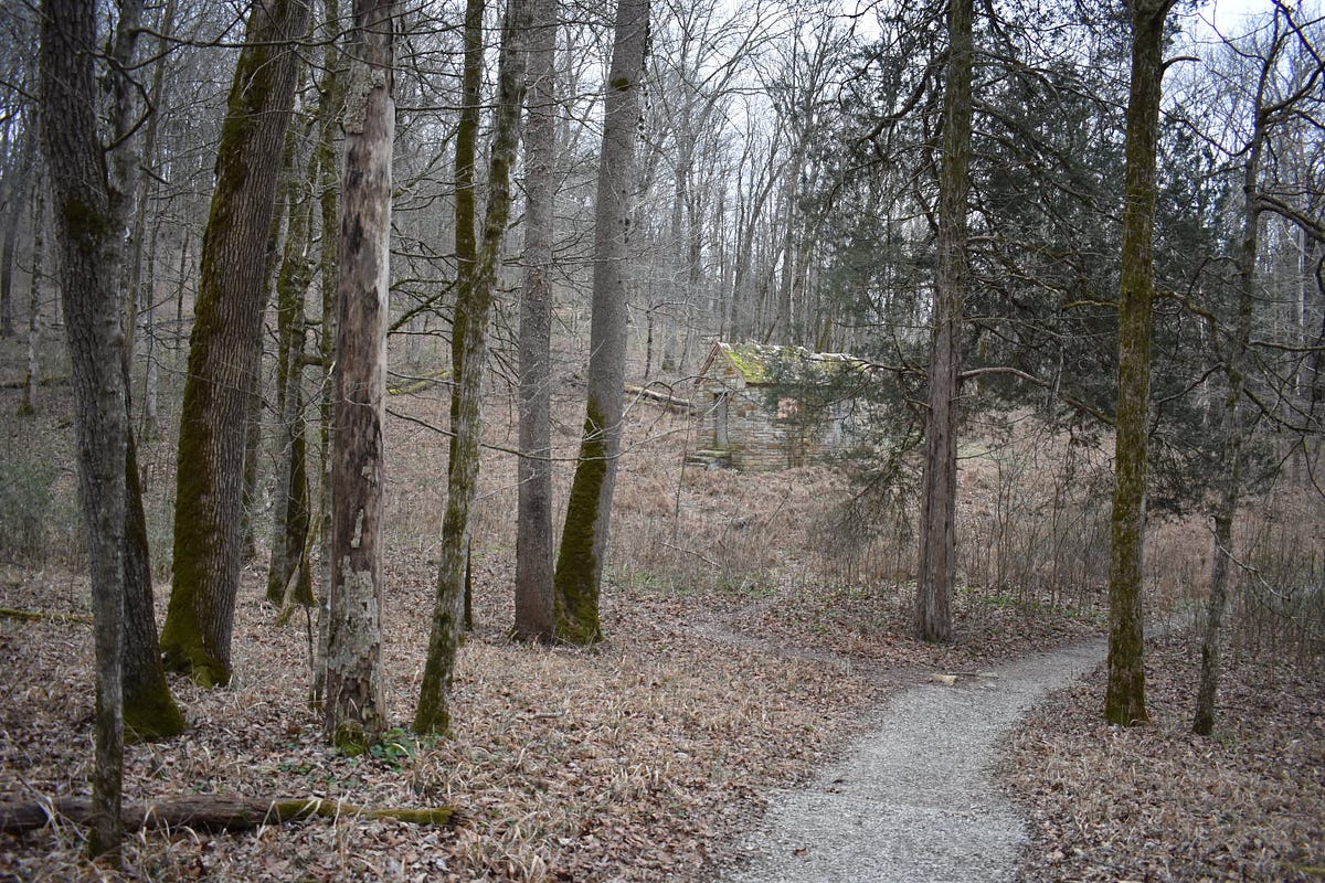 Deciduous Descent I spare little love for the wind that chaps my face