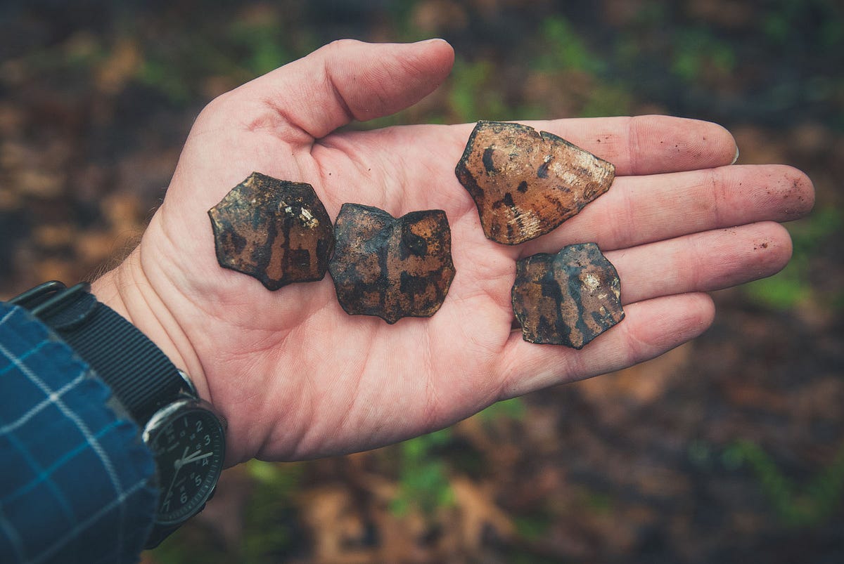 Scales/Eyes by Gribley Gribley’s Folly Medium