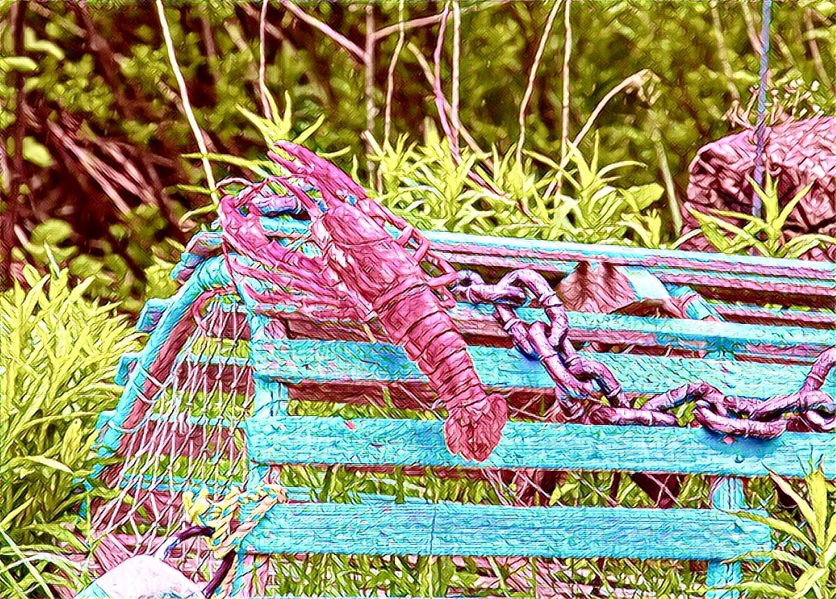 Many a True Word Spoken in Jest. In my village, in the 1940's, local