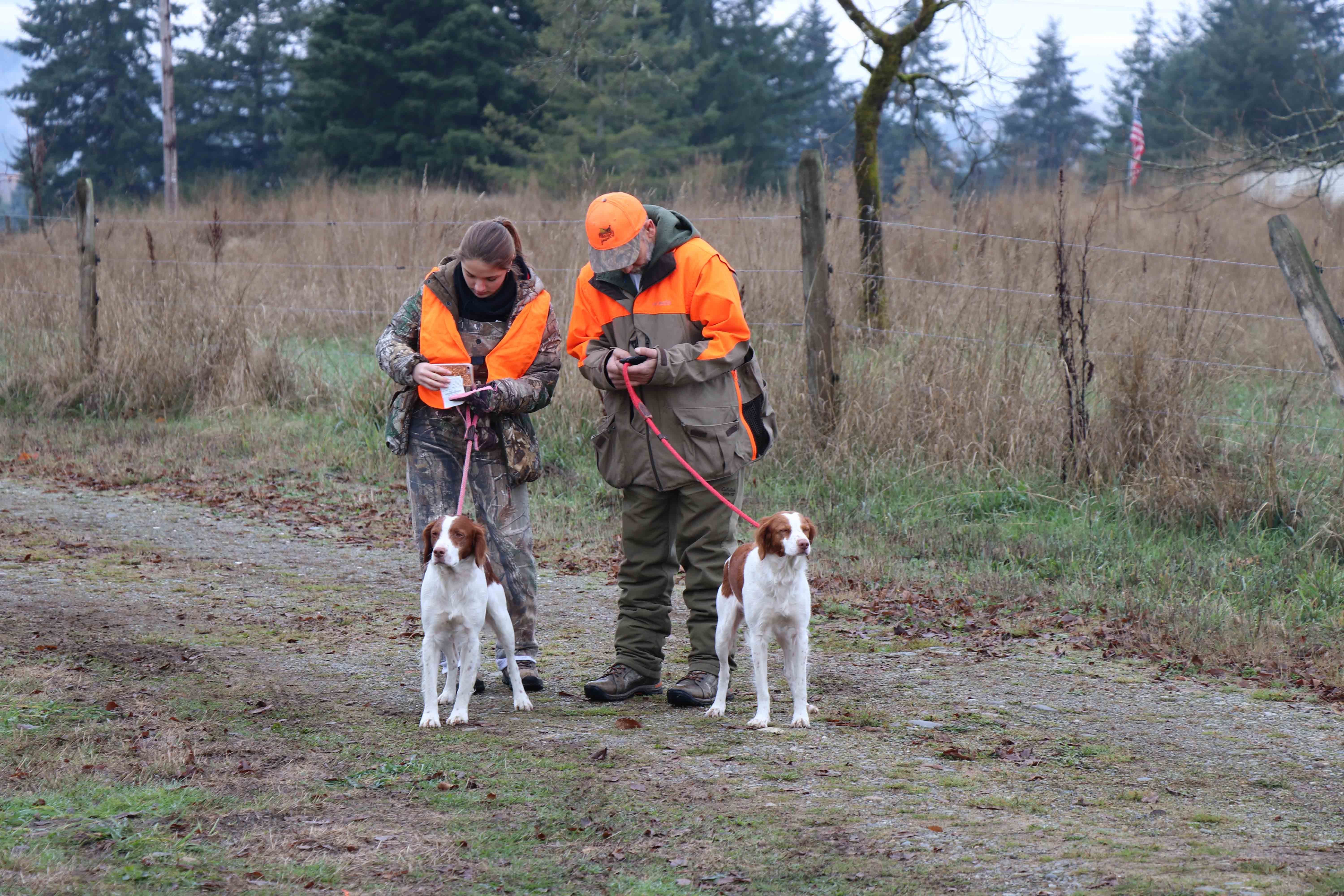 Bird Dog Meaning Business at Sheila Ferrin blog