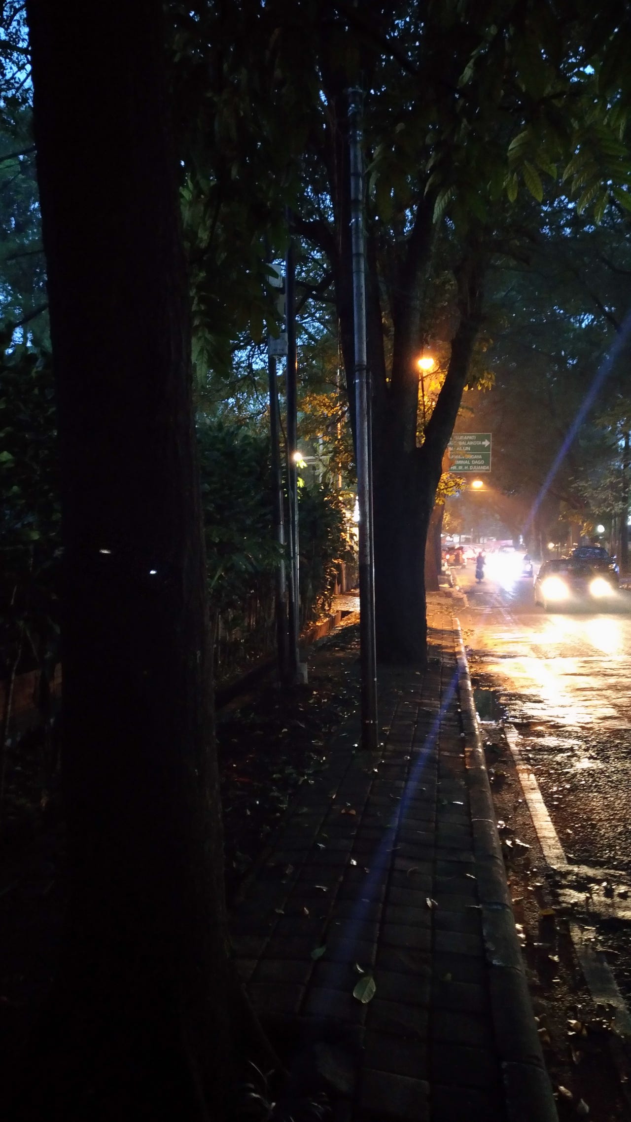 Haiku Jalanan Malam Hari. Puisi by Asra Wijaya ISH
