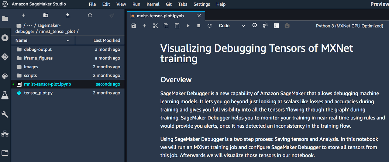 Training Machine Learning Models on Amazon SageMaker by Emily Webber