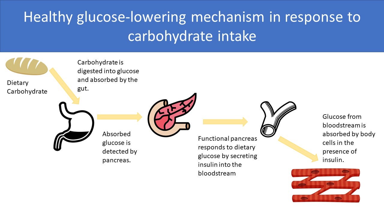 Web most of my diabetic patients will eat protein in meat in order to lower their carb intake so that they can control diabetes. Web whey protein has a number of potential health benefits. Is Whey Protein Suitable For Patients With Type2 Diabetes? Science