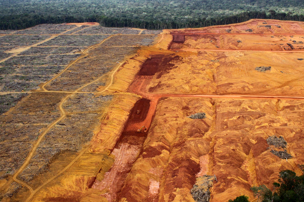 Impacts of mining in the Brazilian Amazon by Comissão PróÍndio de São Paulo Medium