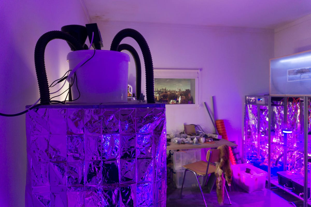 8 Spectacular Speculative Designs That Will Blow Your Mind by