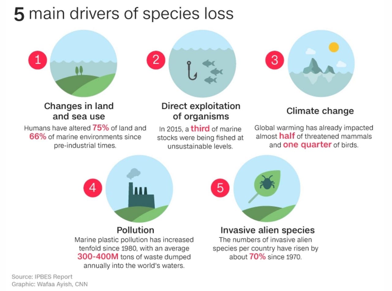 Biodiversity is at stake. In recent months, you must have heard… by