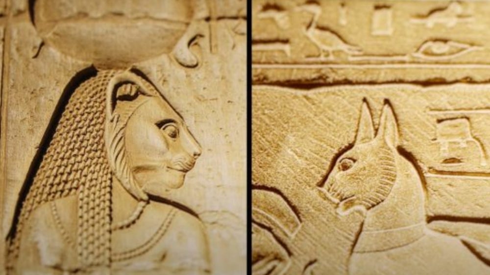 Why Were Cats So Respected in Ancient Egypt? The Holiday