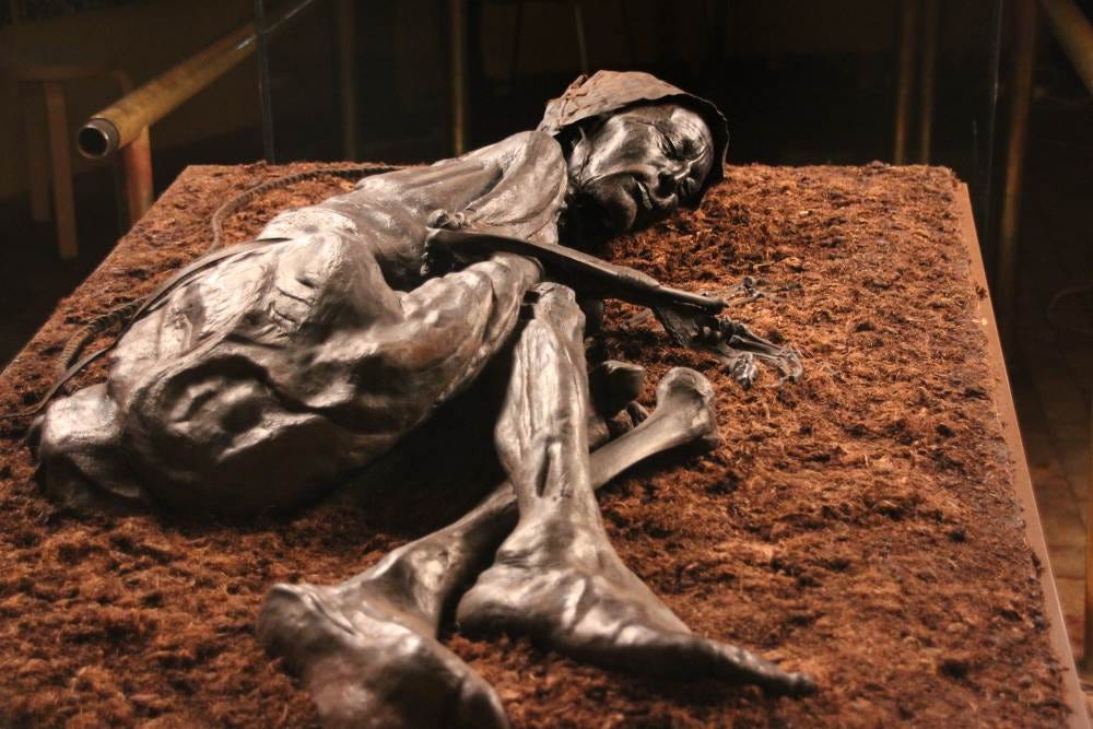 The Remarkably WellPreserved Body of the Tollund Man and His Last