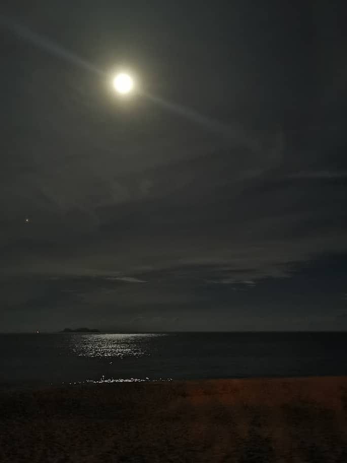 A holiday with turtle watch at East Coast Malaysia Show Your City