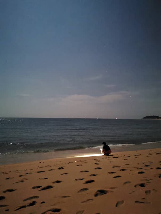 A holiday with turtle watch at East Coast Malaysia Show Your City