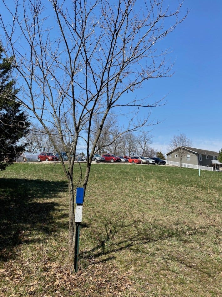 Kress Farm Garden Preserve Waterfalls and Native American Caves by Todd Smith Medium