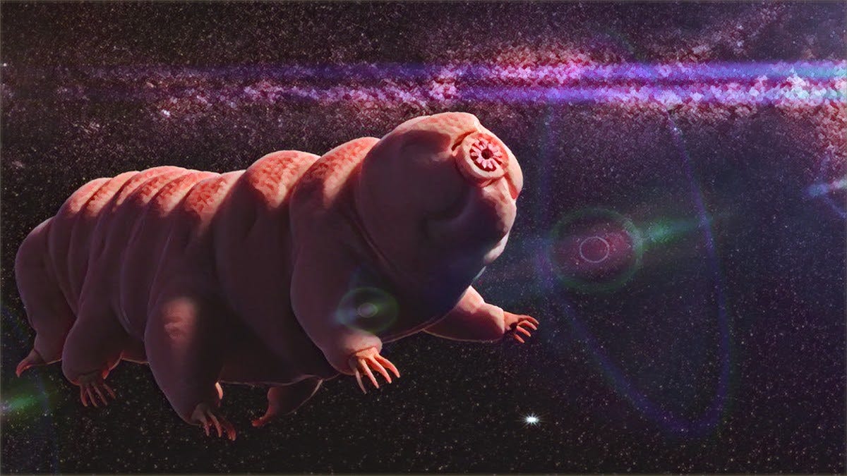 Water Bears in Space!?. WaterBears or Tardigrades have suited… by
