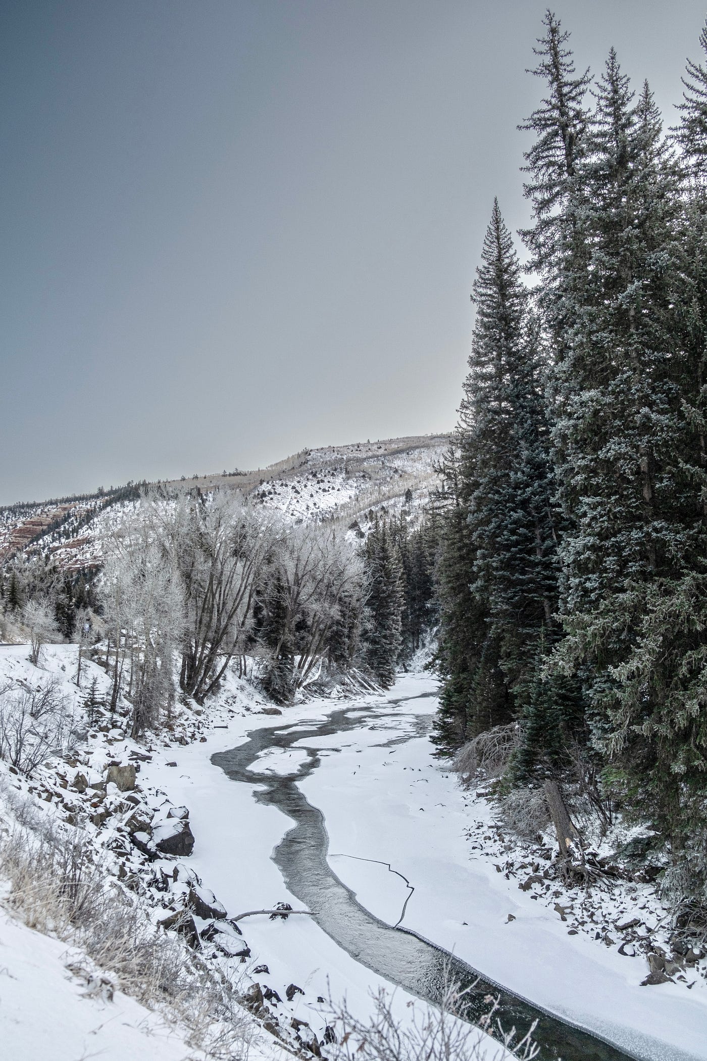 Seasons of Life in the Big Thompson Canyon by Dean Miller Sep, 2022