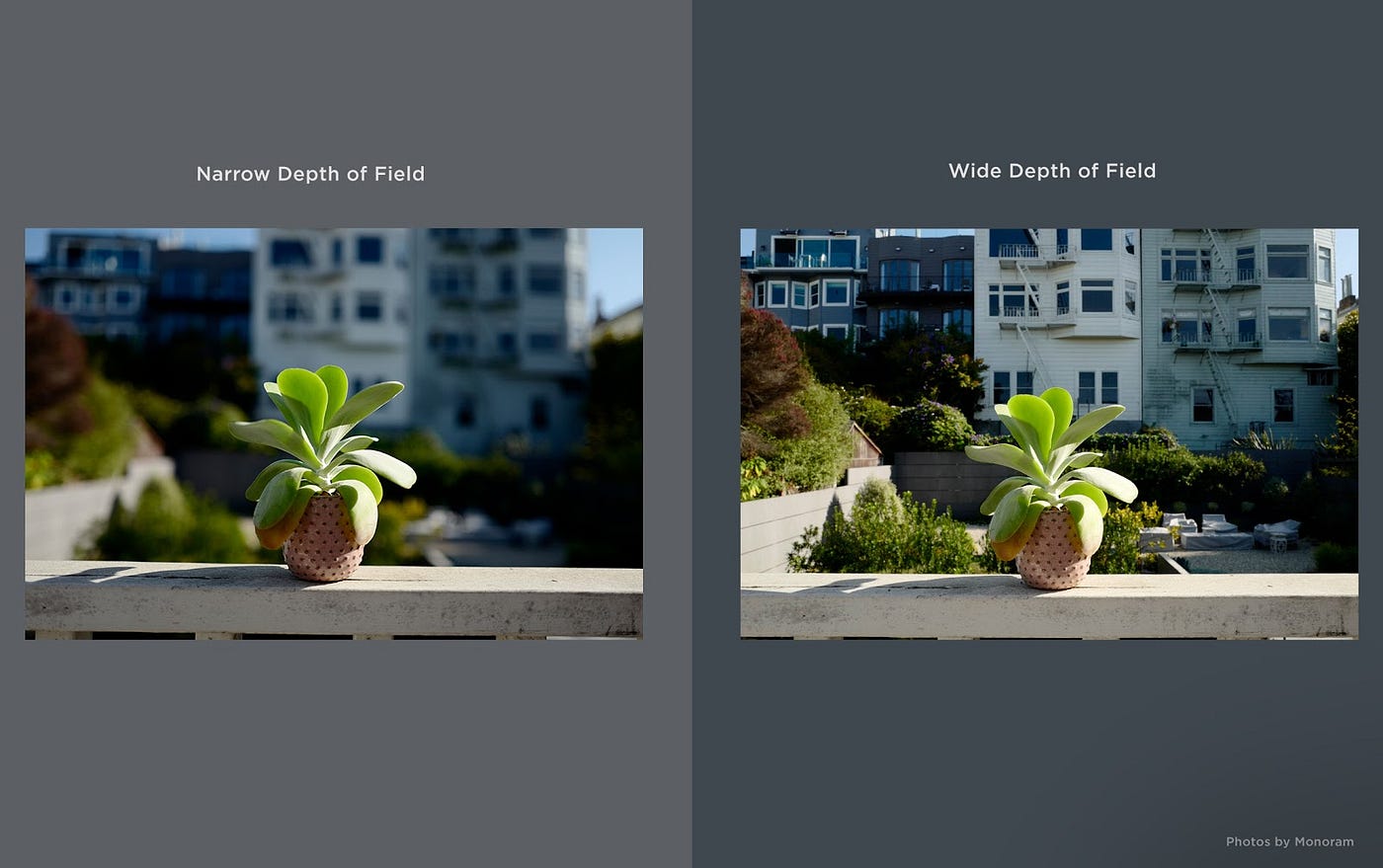 What is depth of field (and how you can master it). by SmugMug SmugMug