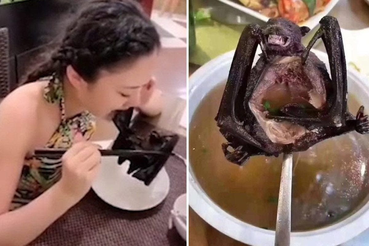 Why do Chinese people eat “weird” foods? by Amadeus Kevin’s Dead