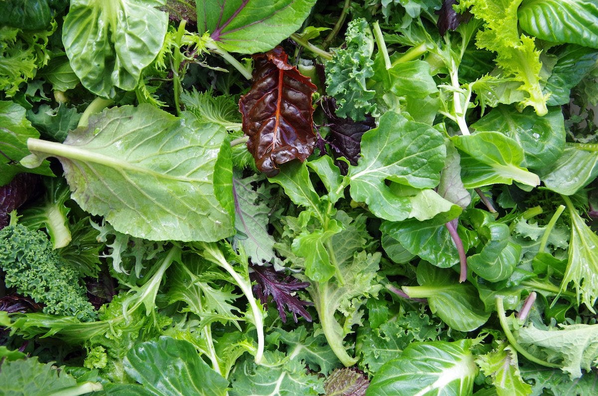 The FDA’s Leafy Greens Action Plan by FoodLogiQ Medium