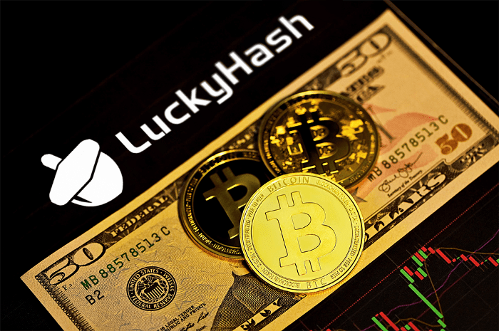 Top 4 Cryptocurrency Investment Platforms in 2022 by Crypto Emma