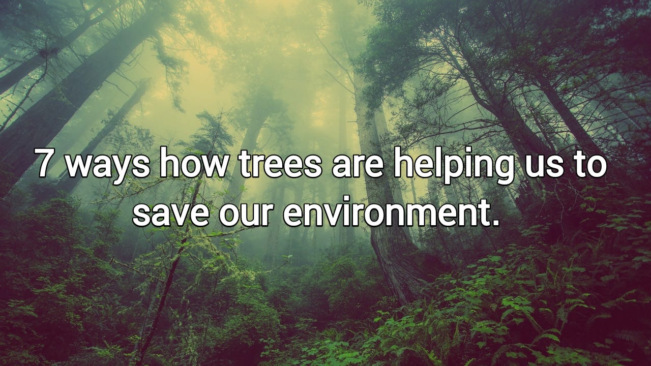 Save Trees 7 ways how trees are helping us by Ayush Agrawal