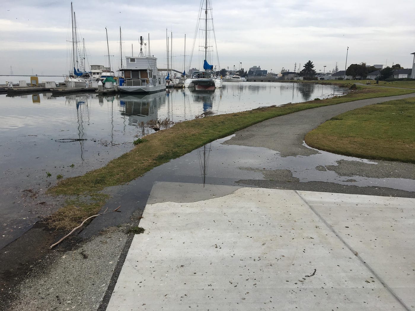 King Tides Coming to Redwood City Jan 1012 and Feb 89, 2020 by Jeremy D Smith Medium