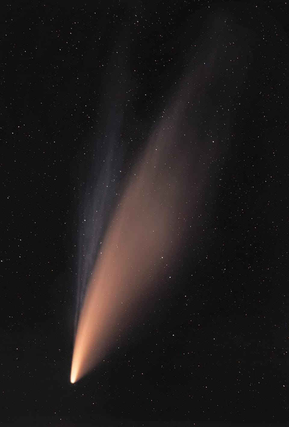 Why Does Comet NEOWISE Have Two Tails? by Ethan Siegel Starts With