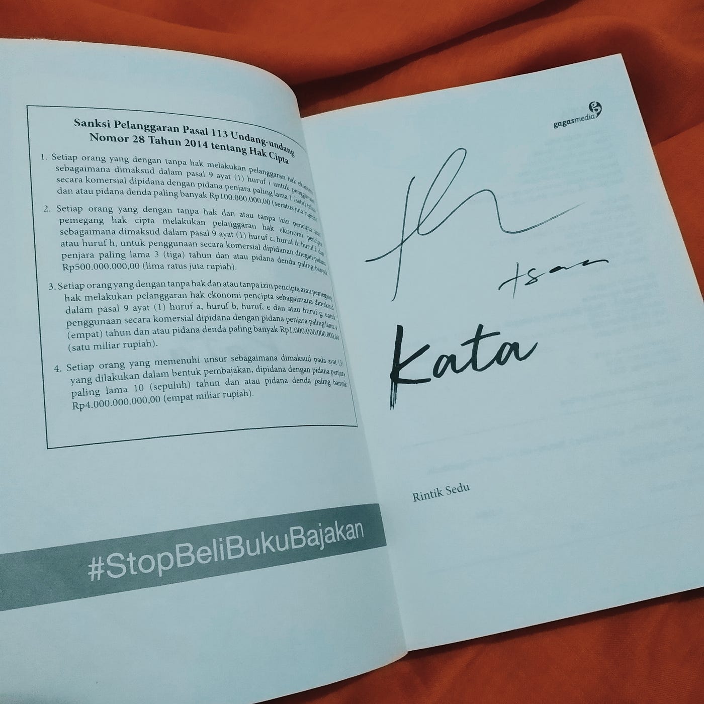 Kata karya Rintik Sedu. Book review. | by Ameliaa | Medium