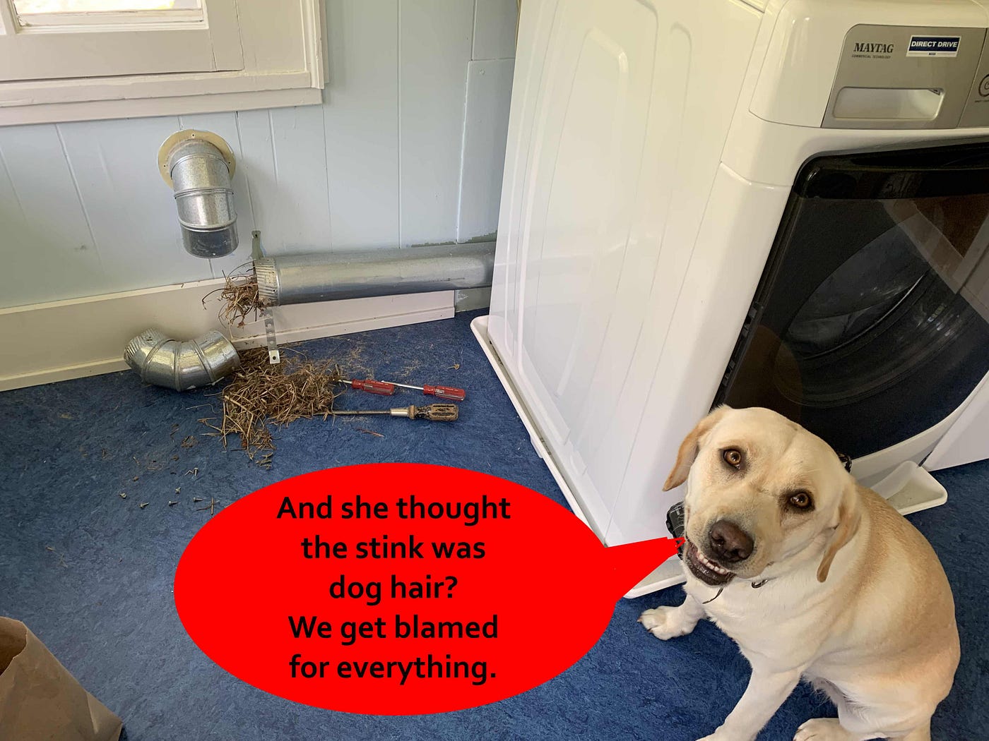 Why Did My Dryer Smell Bad?. If Your dryer stinks, I hope it isn’t