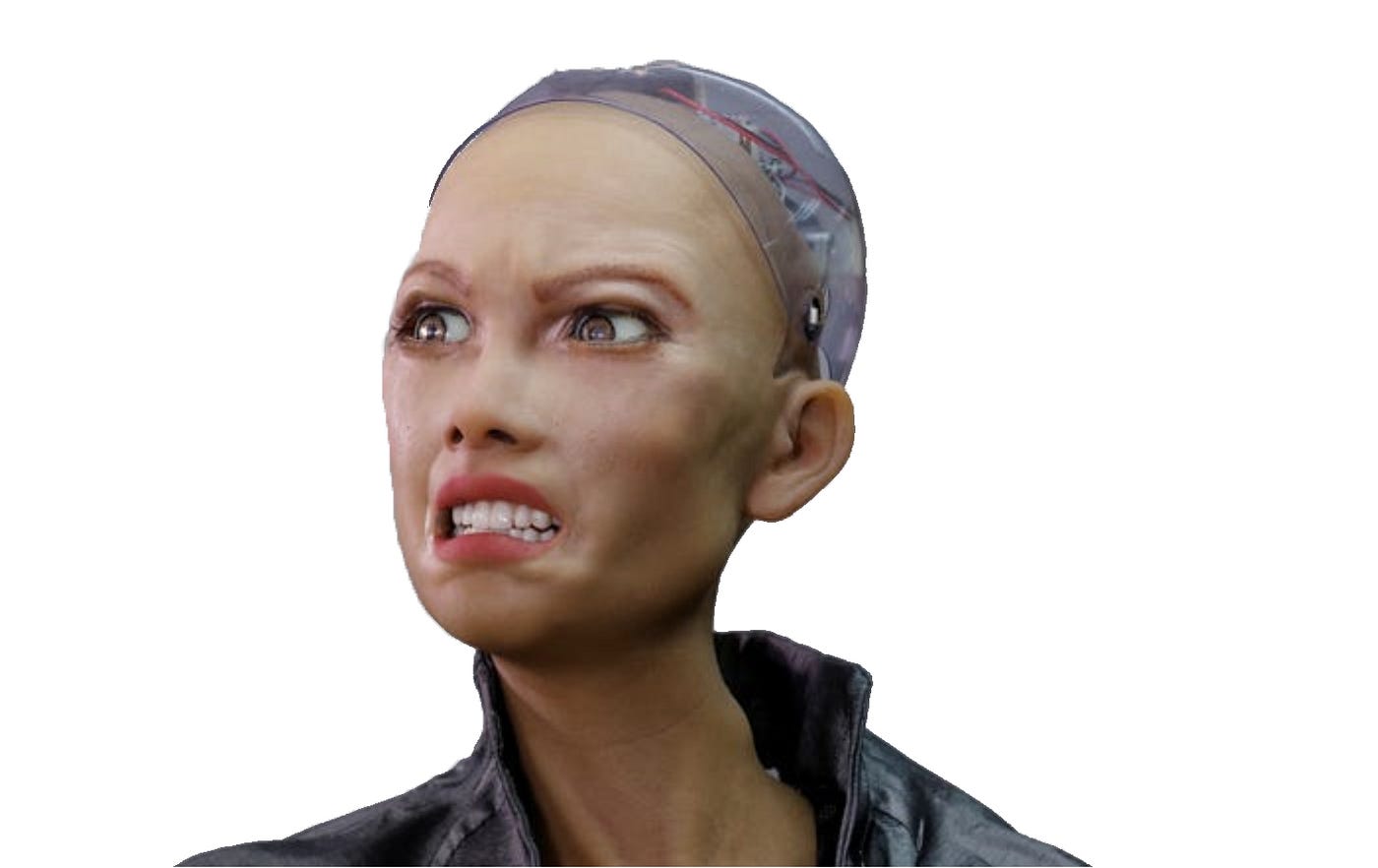 Is Sophia a Scam and did They Kill Her? by Dora Bajkuša Digital Is Sophia a Scam and did They Kill Her? by Dora Bajkuša Digital