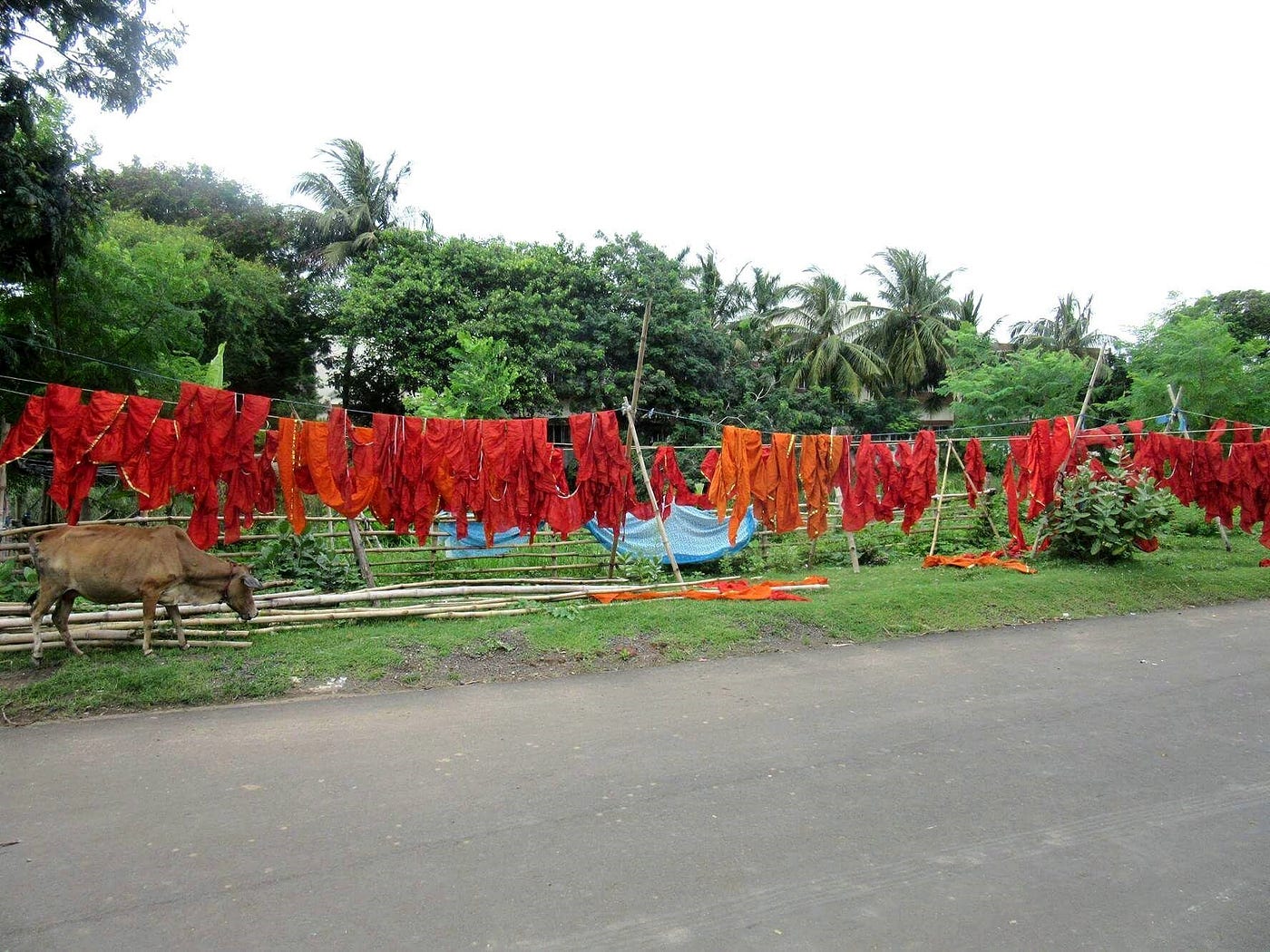 Land Economy Student Room at Tracey Johnson blog