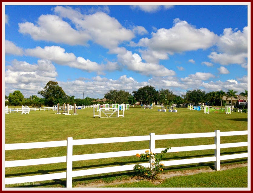 Palm Beach Point in Wellington FL Equestrian Homes for Sale Market