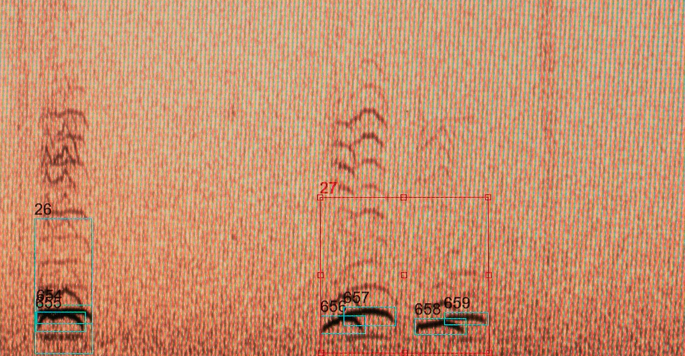 Elephant Rumbles — What Do They Mean? by Cornell Research Medium