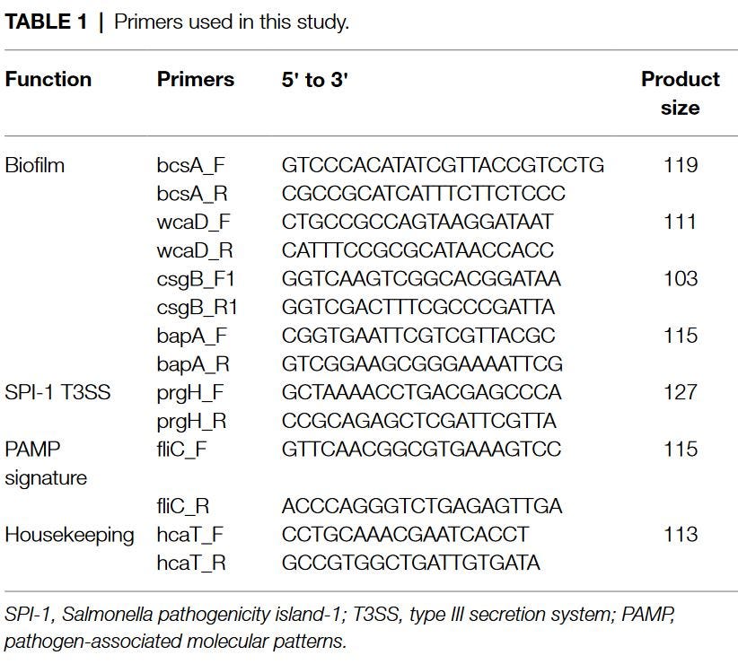 A Definitive, Practical Guide to Designing Primers for PCR & qPCR. by