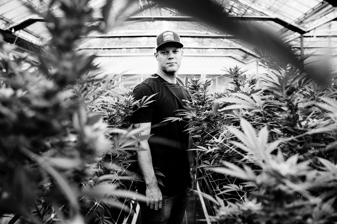 Graham Farrar of Glass House Farm Five Strategies Our Company Is Using