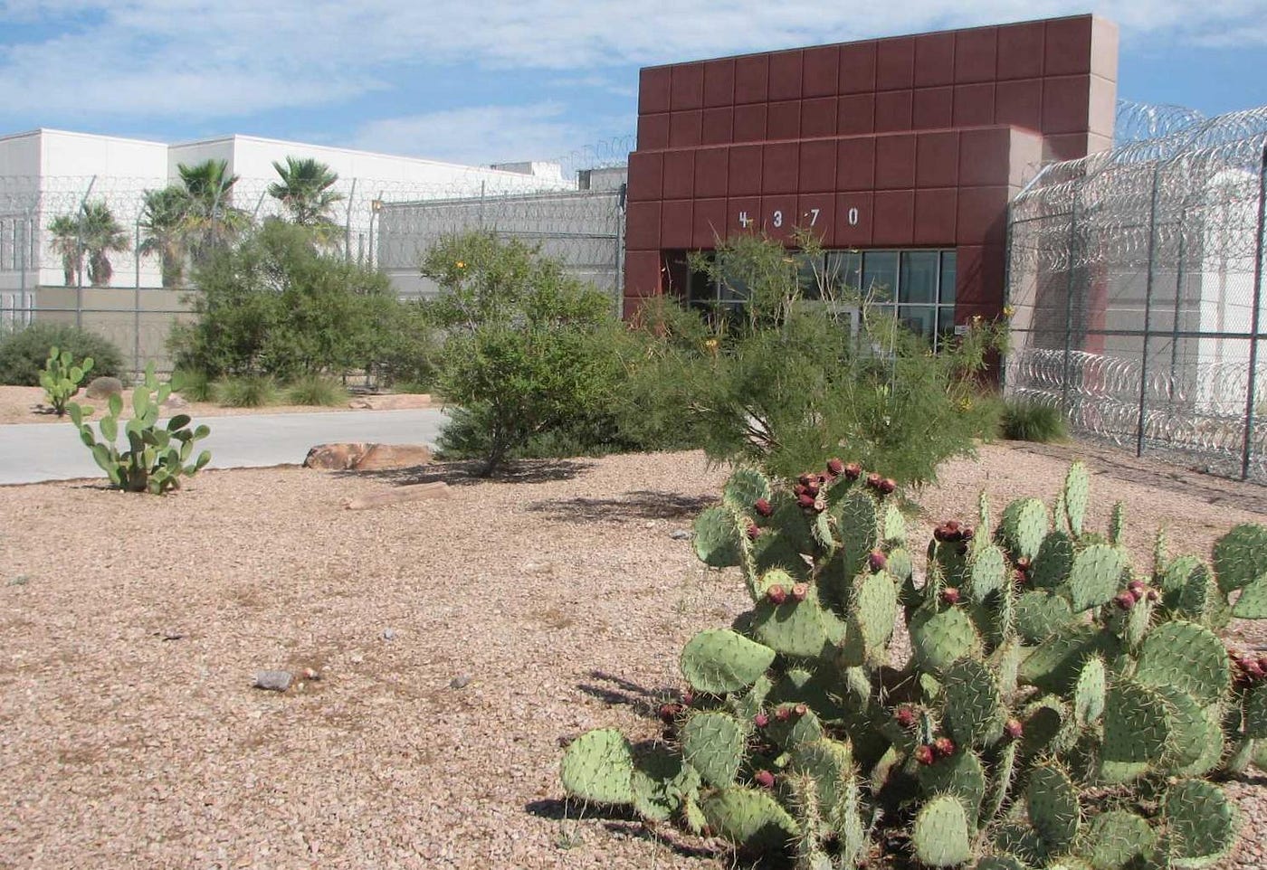 Nevada Department of Corrections Has A Ridiculous Inmate Interview