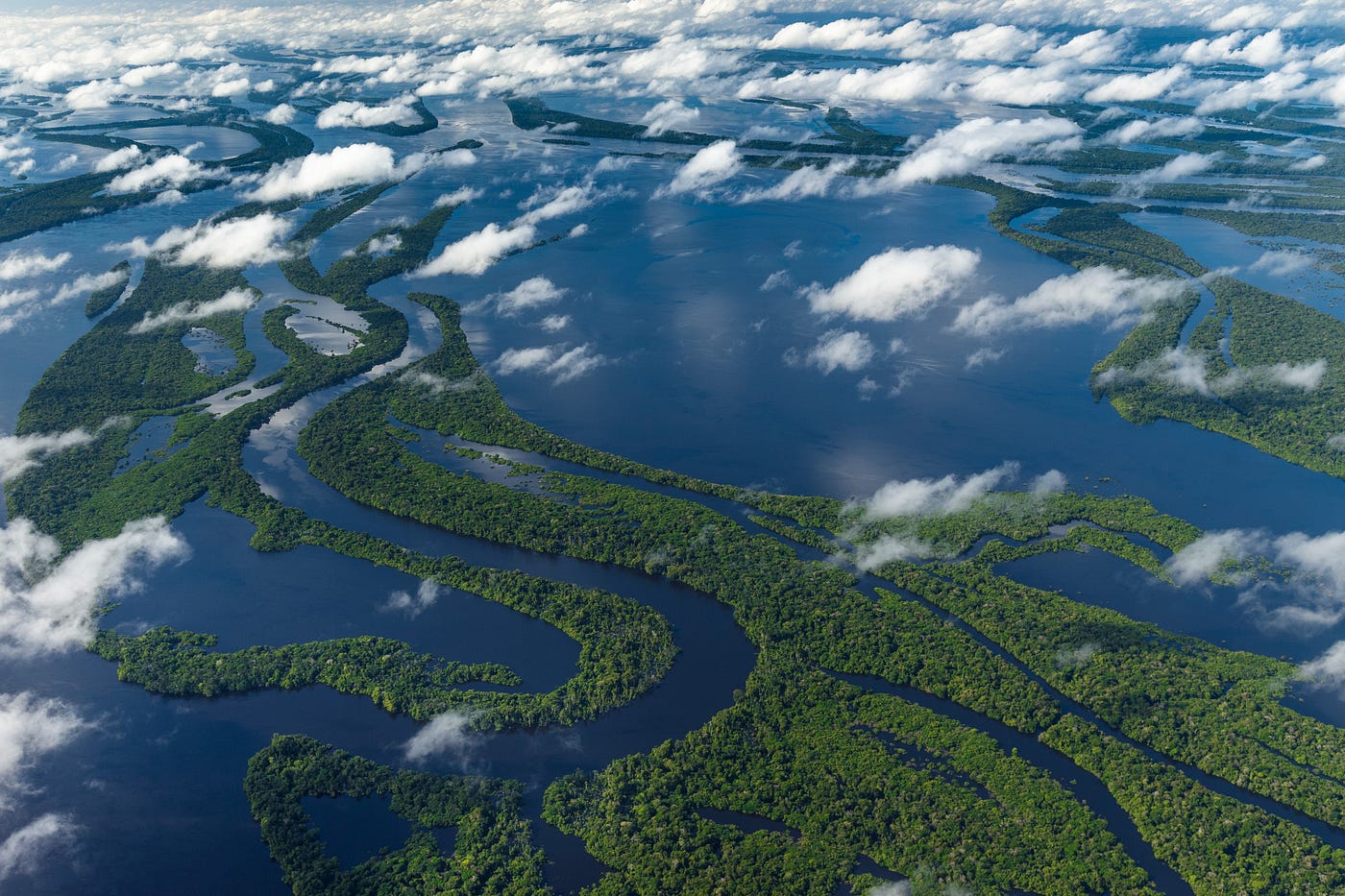 Top 10 Longest River In The World 2020 | By Knowledge Maniac | Medium