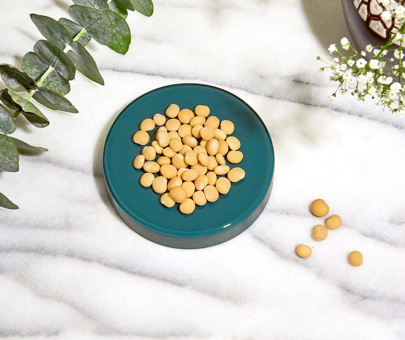 The Nutrition Scoop On Our SmallButMighty Hero Ingredient The Lupini