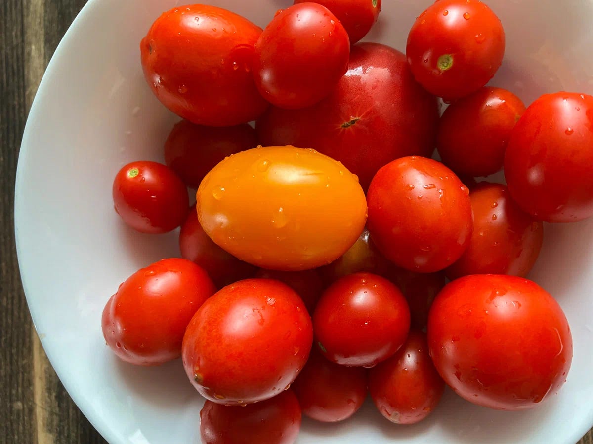 I buy a lot of tomatoes on purpose I show you how to make dried