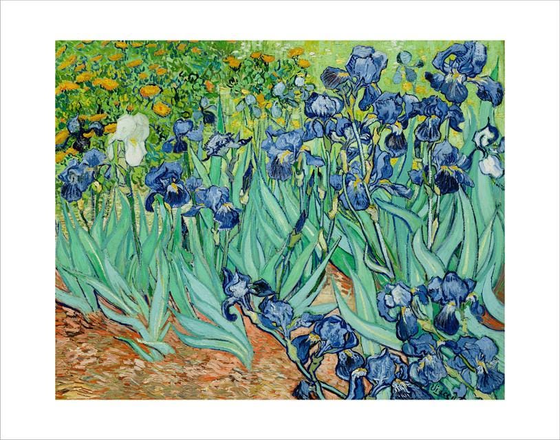 Irises By Vincent Van Gogh coloring page ColouringPages