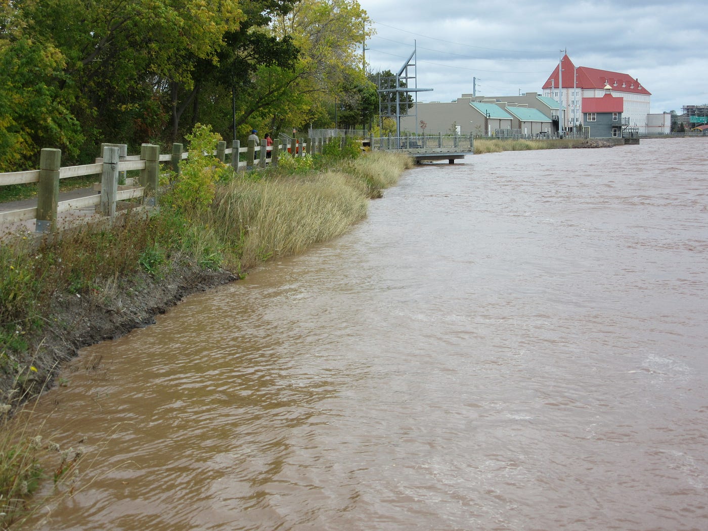 The Petitcodiac River and the Tidal Bore by Lynn McEachern Medium