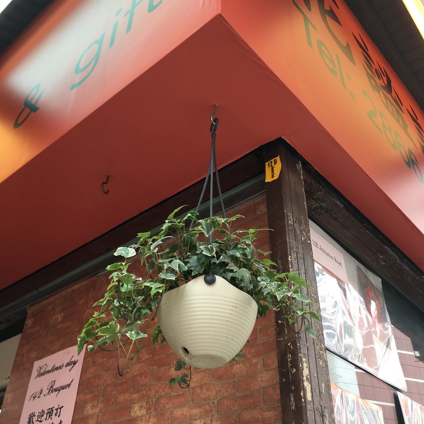 Pot plants in Hong Kong. Hong Kong, as an international city… by Su