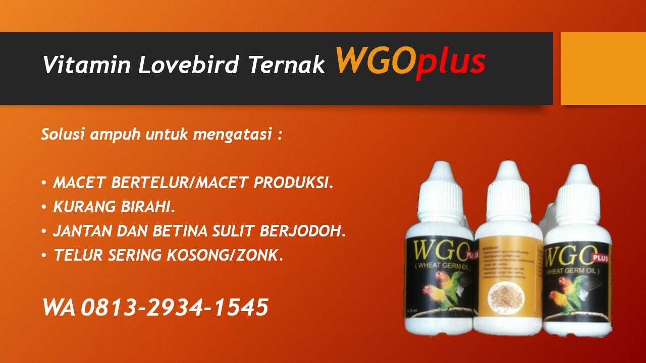 WA/SMS 0813 2934 1545,Vitamin Lovebird Ternak Ampuh WGOplus…!!!, Vitamin Ternak Lovebird,Vitamin Lovebird Ternak, Vitamin Untuk Lovebird Ternak, Vitamin Agar Lovebird Cepat bertelur, Vitamin Lovebird Agar Cepat Bertelur, Vitamin Lovebird supaya cepat …