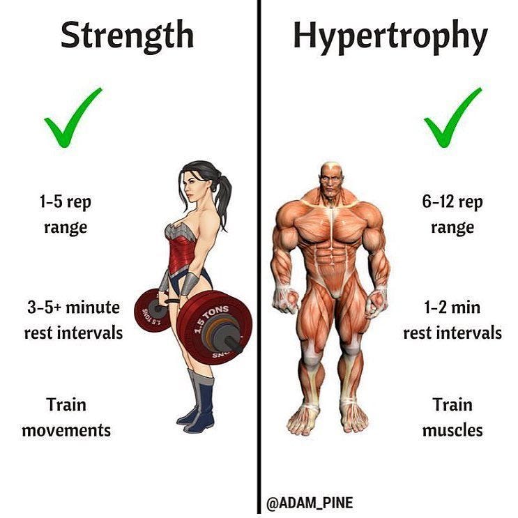 Understanding Hypertrophy Repetition Range to Build Muscle