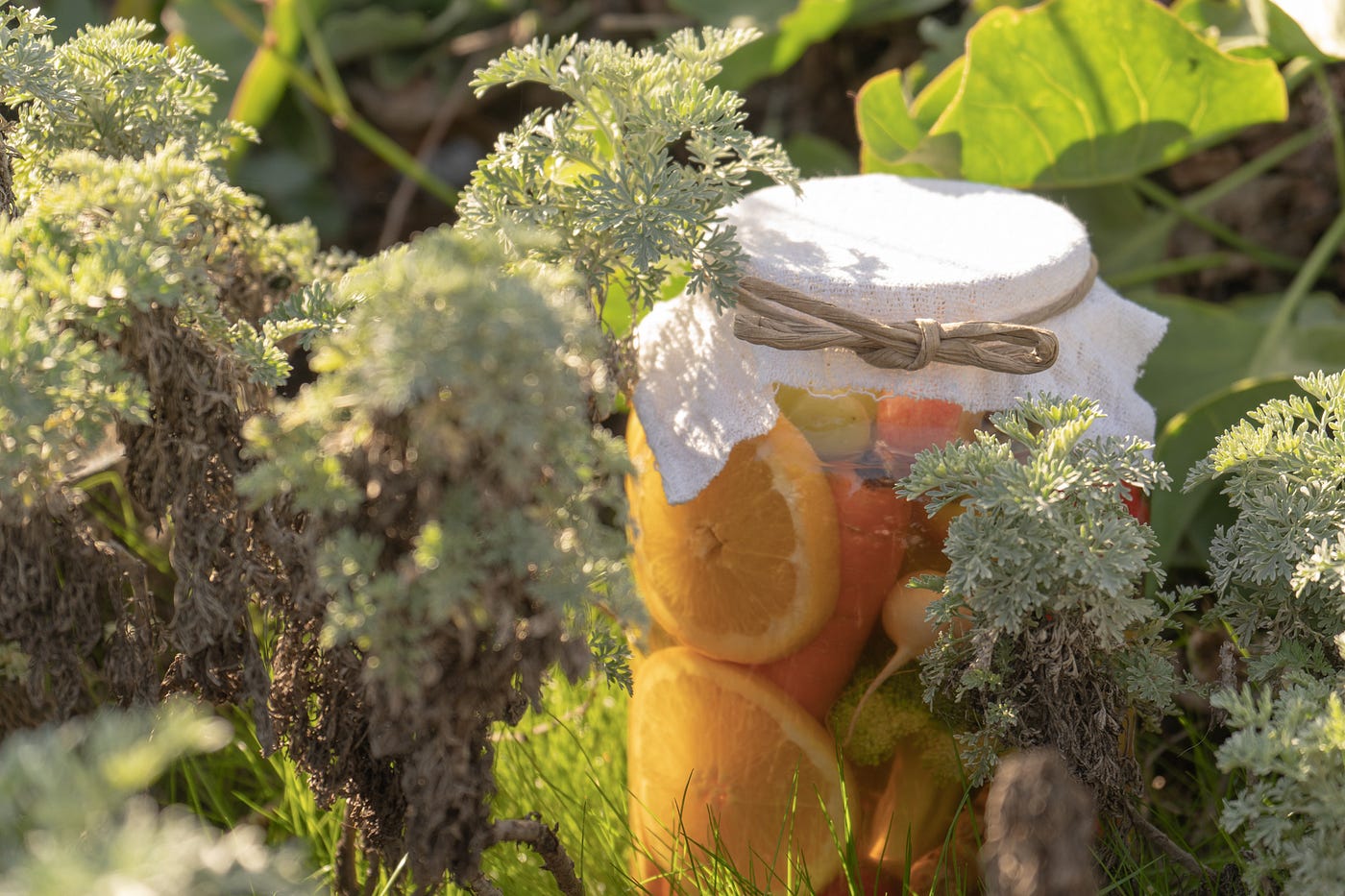 What is Koso and how do you drink? by R’s KOSO Medium