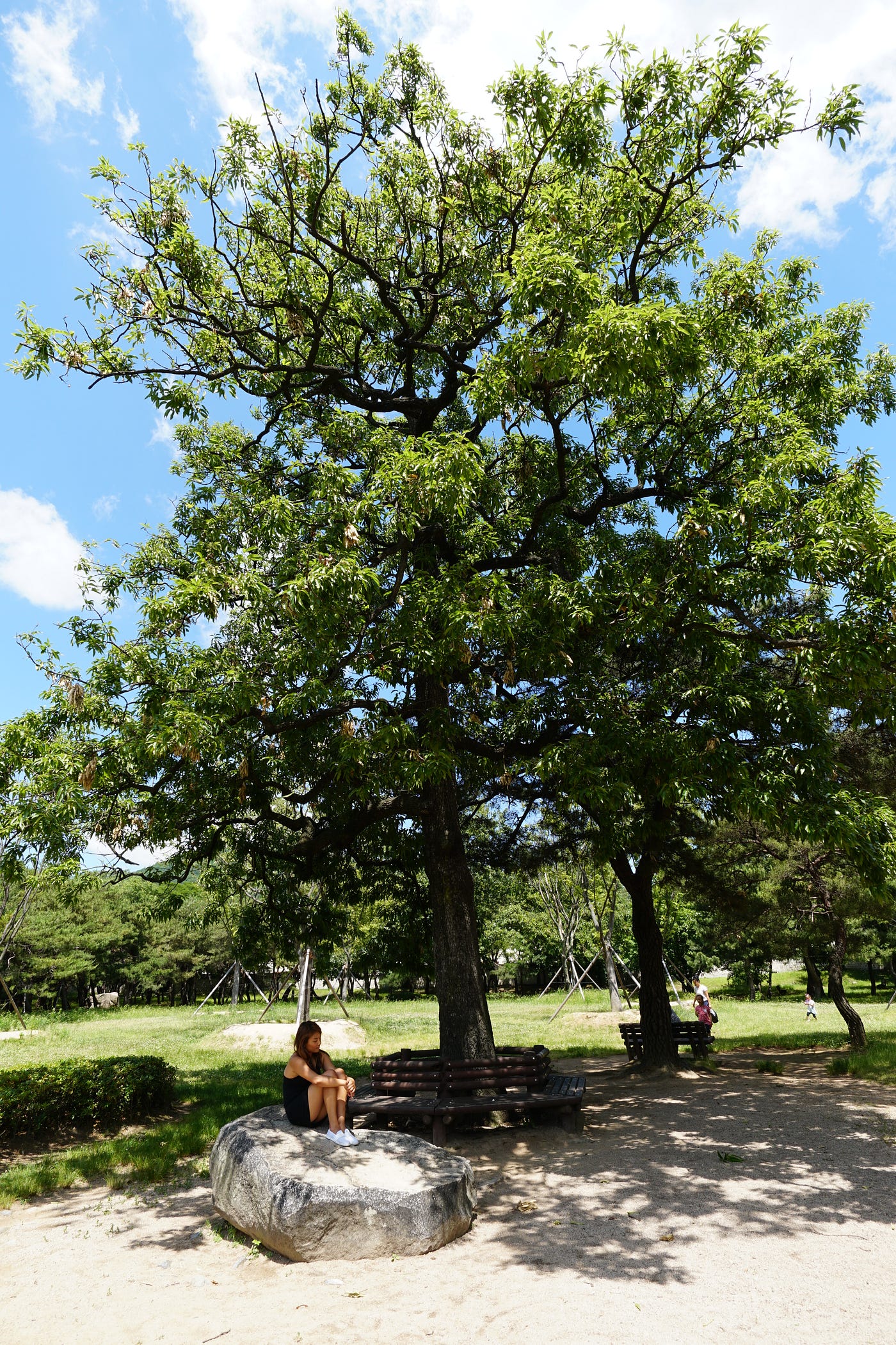 Reconnecting with my roots (in Korea) by Koh Kim Medium