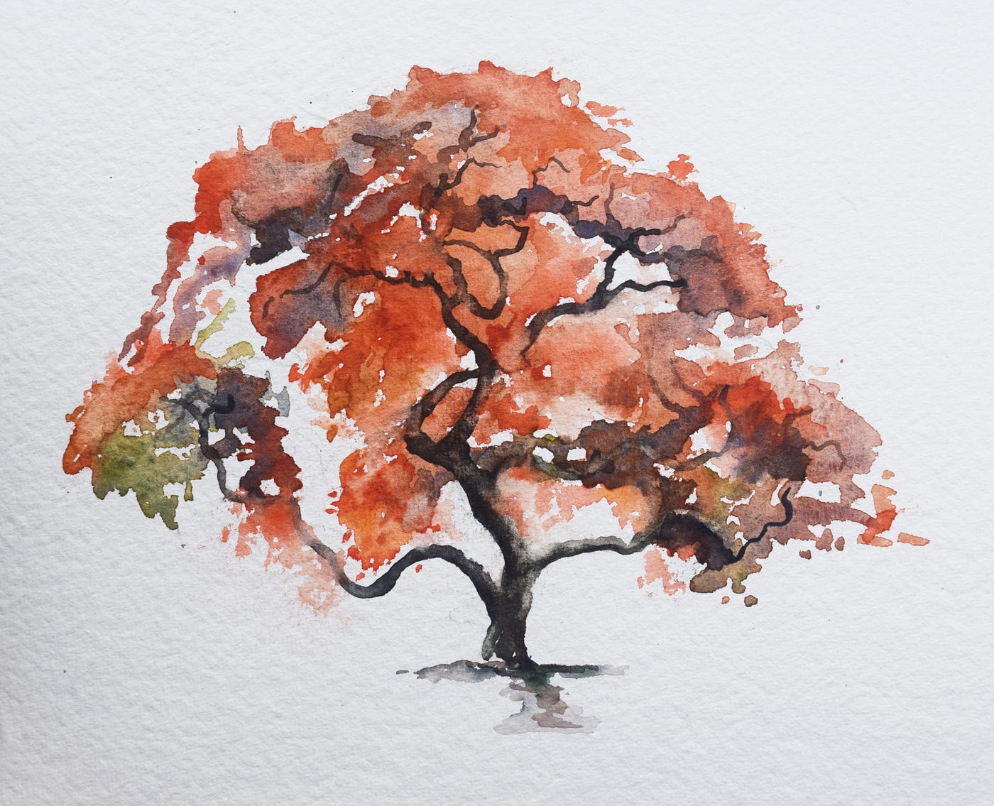 Painting A Japanese Maple In Watercolor by Christopher P Jones Medium