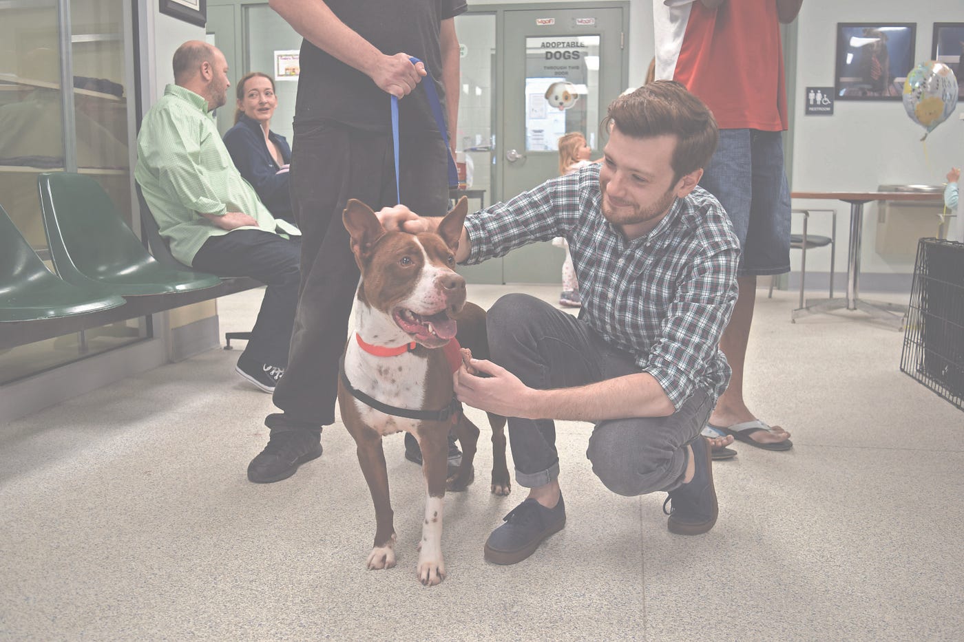 Oldham County Animal Shelter Jack Carroll County